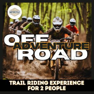 men on bikes in a forest